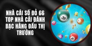 Nhà Cái Số Đỏ 66 - Top Nhà Cái Đánh Bạc Hàng Đầu Thị Trường